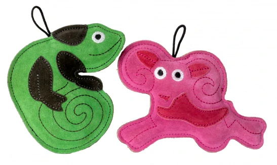 Kiwi Walker Leather Chameleon