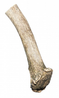 Sirius paroží dančí 100g - 140g