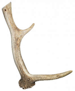 Sirius paroží dančí 230g - 320g