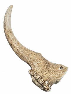 Sirius paroží dančí 170g - 230g